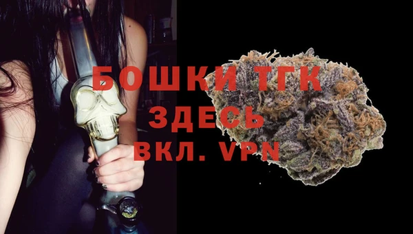 трава Бородино