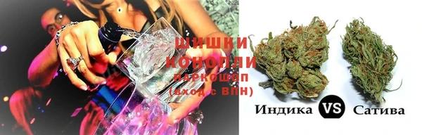 трава Бородино