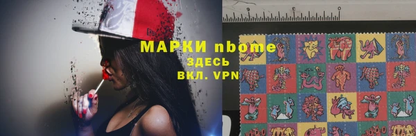 трава Бородино