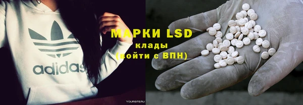 трава Бородино