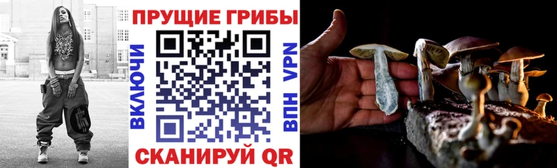 Псилоцибиновые грибы MAGIC MUSHROOMS  купить   Кирово-Чепецк 